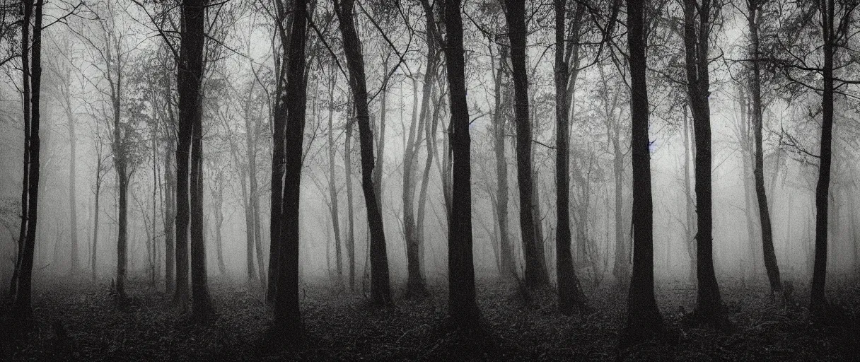 Prompt: a haunted forest under the milkway at night, film grain, large format photograph by stephen king, misty, moody