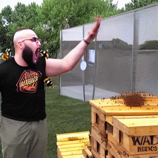 Prompt: HD photo of an angry WingsofRedemption screaming at bees