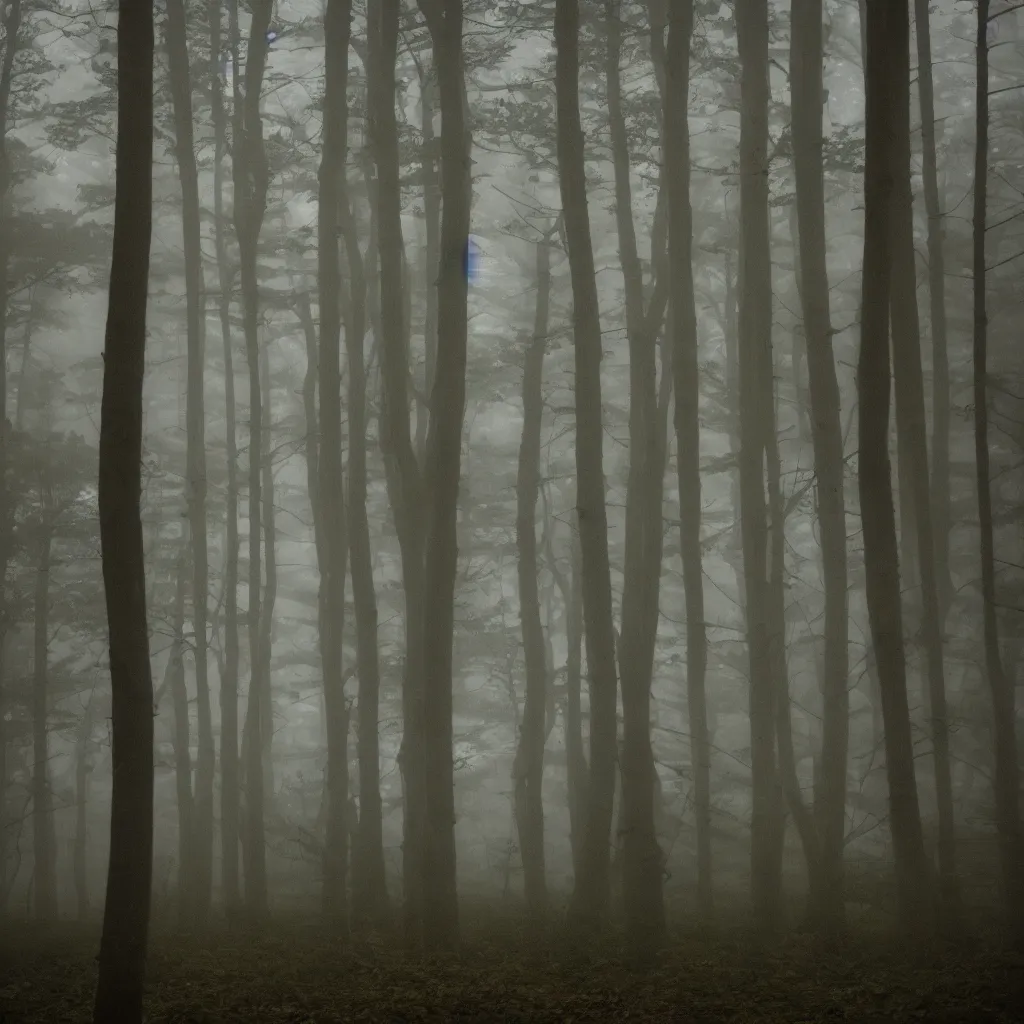 Prompt: high quality photo of a foggy forest at night, photography 4k, f1.8 anamorphic, bokeh, 4k, Canon, Nikon