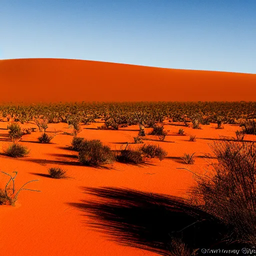 Prompt: bio-sensor system for monitoring the australian desert, XF IQ4, 150MP, 50mm, F1.4, ISO 200, 1/160s, dawn