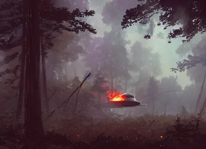 Image similar to a crash-landing sight of a spaceship in a forest, smoke in the air, atmospheric lighting, debris on ground, smoke and flame on ship. By Makoto Shinkai, Stanley Artgerm Lau, WLOP, Rossdraws, James Jean, Andrei Riabovitchev, Marc Simonetti, krenz cushart, Sakimichan, trending on ArtStation, digital art.