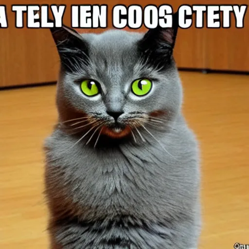 Image similar to funny silly goffy cat