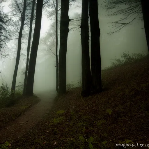 Image similar to found footage of a mysterious creature in the woods, atmospheric fog