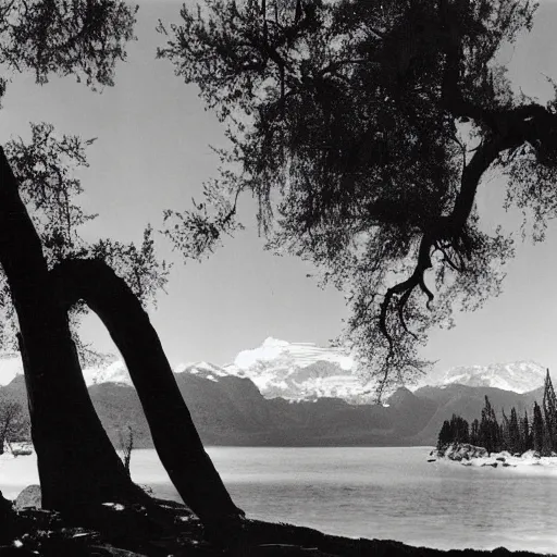 Image similar to a portrait of a character in a scenic environment by Ansel Adams