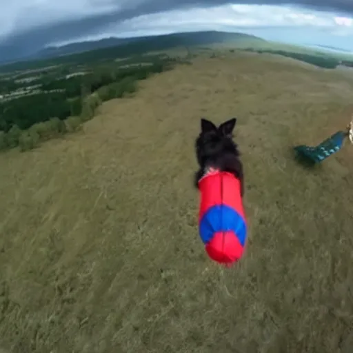 Image similar to a hairy dog with a big parachute jumping from a cliff. captured by a drone. wide camera. epic