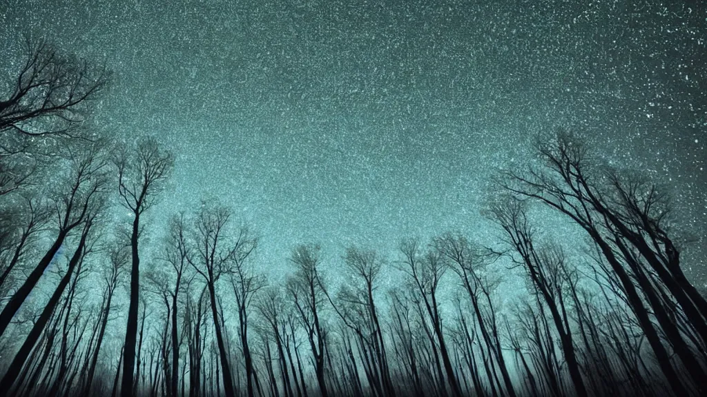 Image similar to You look up at the trees crowning above you. The trunks stretch above you, awesome and cradling. The canopy gyres overhead, the intricacy of the leaf capillaries dazzle. Star trails are visible in the black sky. haunted long exposure night time photography in the style of Andreas Ghersky