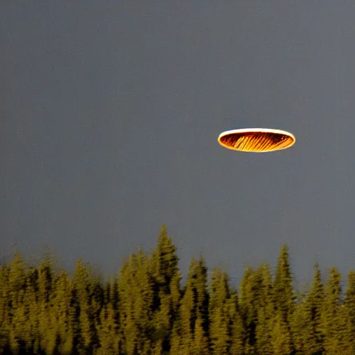 Prompt: grainy photograph of a hamburger-shaped UFO flying above a boreal forest