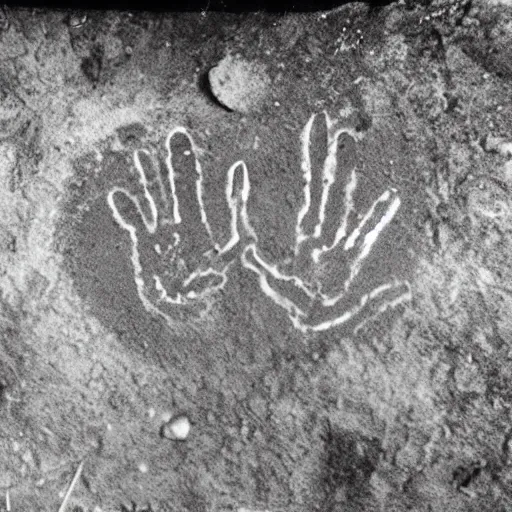 Cave Hand Prints Old Photo Stable Diffusion OpenArt   Ea8941d44ae86370f3947992211054e9b1b9b8fb 2000x2000.webp