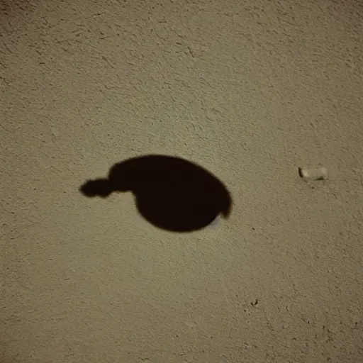 Prompt: wide - shot low - angle ant's eye view, sharp shadow!! of a cat!! only shadow on the wall in the street, colours, polaroid photo, by andy warhol