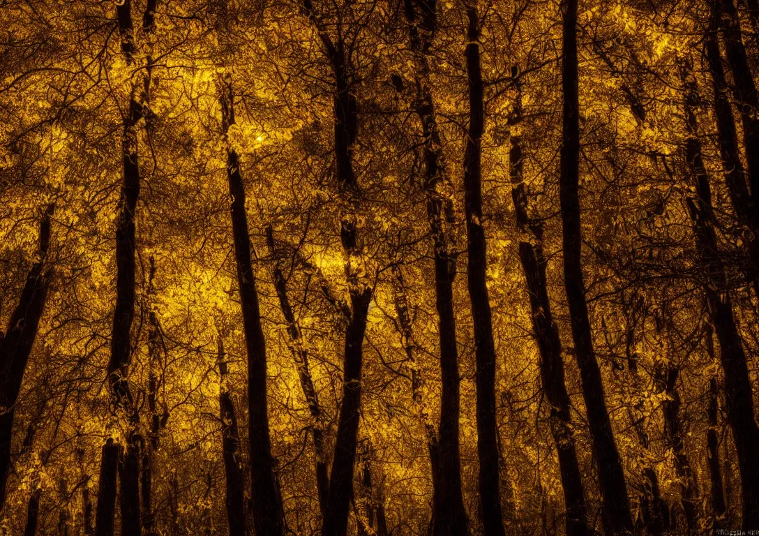 Prompt: a golden tree in a dark forest, detailed photography, dennis velleneuve, vivid colors, ultra realistic, 8 k, photography