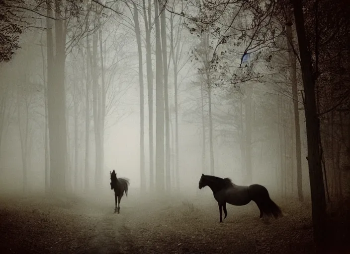 Image similar to medium shot, an evil horse is walking, woods, horror, fog, the horse is breathing smoke, polaroid photo, vintage, neutral colors, by gregory crewdson,