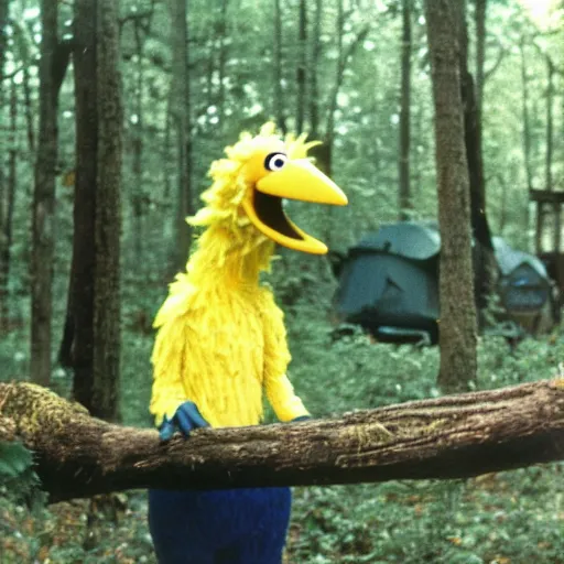 Image similar to big bird from Sesame Street camping in the woods, 1960s color photograph