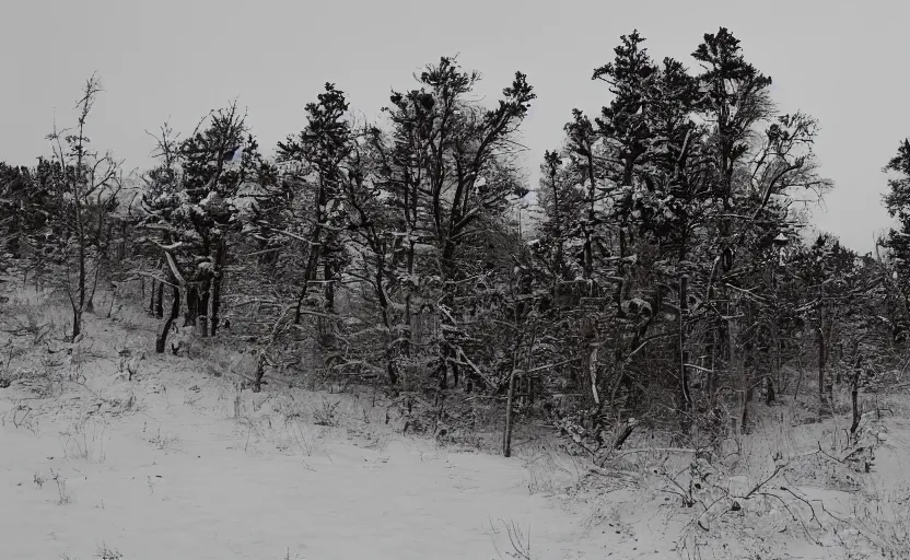 Image similar to a bleak empty winter northern wilderness