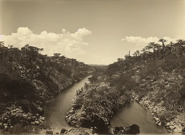 Image similar to Overlook of a river flowing through a cactus forest, albumen silver print by Timothy H. O'Sullivan.