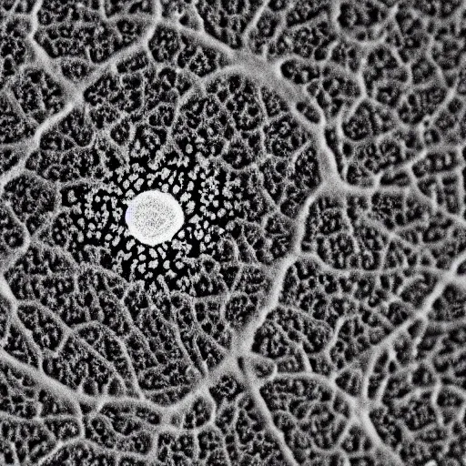 Image similar to 🙂 under electron microscope 4k