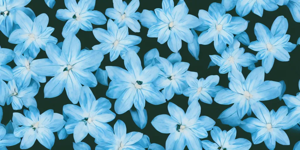 Image similar to minimalistic wallpaper of light blue flowers, matte painting