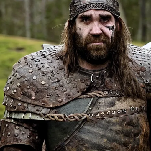 Prompt: Rory McCann as a scarred Viking warrior, photo