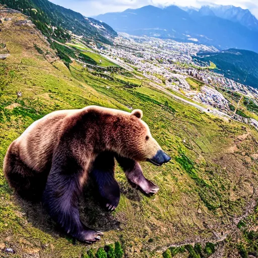 Image similar to a paragliding bear, photo, high quality, 8 k resolution