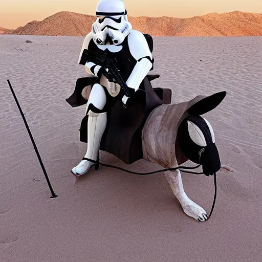 Prompt: an imperial stormtrooper riding on a bunny in the desert