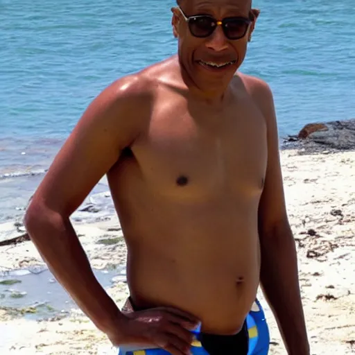 Prompt: gus fring in a swimsuit on the beach