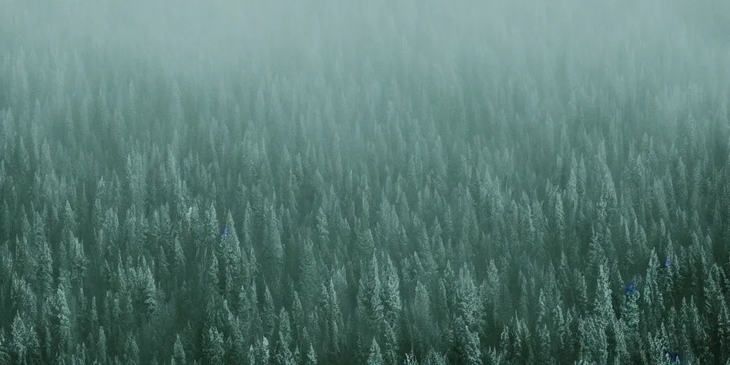 Prompt: night, forested mountains, big mountains, cold light, dense forest, overhead view, fog, 2 d disney cartoon style