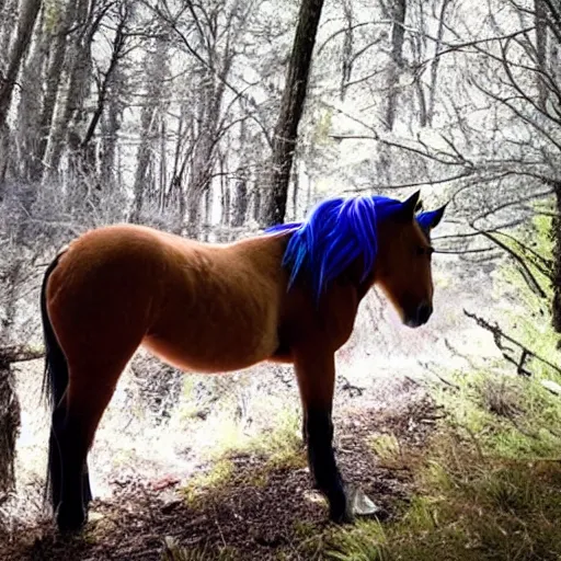 Image similar to photo of a wild horse in the woods that looks like a my little pony, feral vicious cryptid