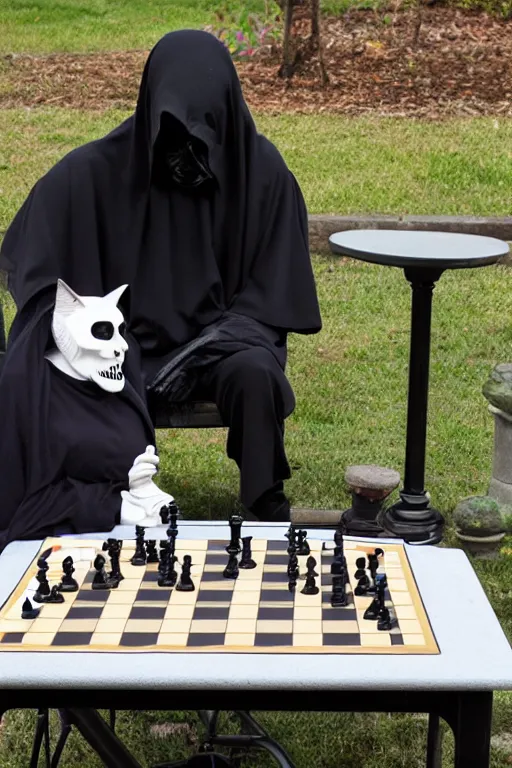 Image similar to Grim reaper and cat playing chess on a park table