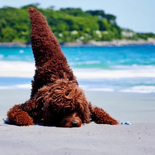 Prompt: a realistic photograph of a brown labradoodle doing a handstand, on a sunny beach, beautiful detailed photography