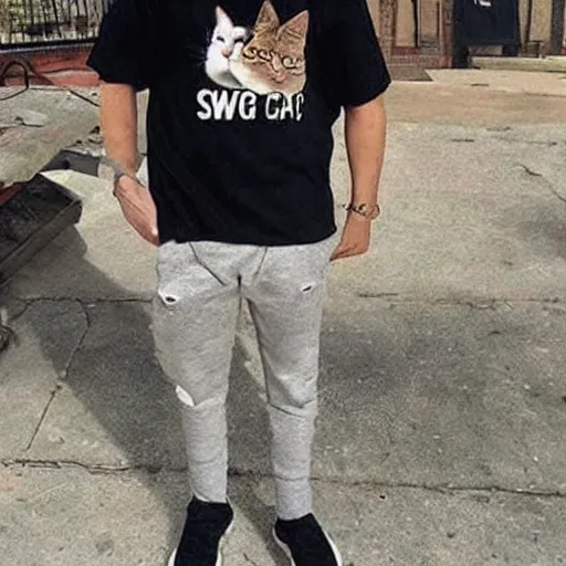 Image similar to swag cat