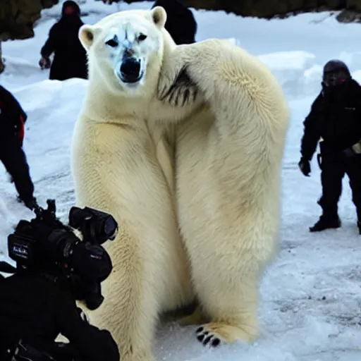 Image similar to a polar bear getting interrogated