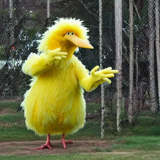 Prompt: big bird loses his mind