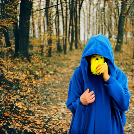 Image similar to woman in blue hooded cloak holds a yellow goblin, kodak vision 3 500t