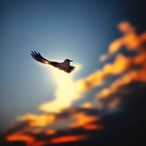 Prompt: Close-up realistic shot of a radiant shining white dove flying over the clouds at sunset, ethereal, vintage photograph, film grain, surreal, awe-inspiring, highly detailed, blue and orange color scheme