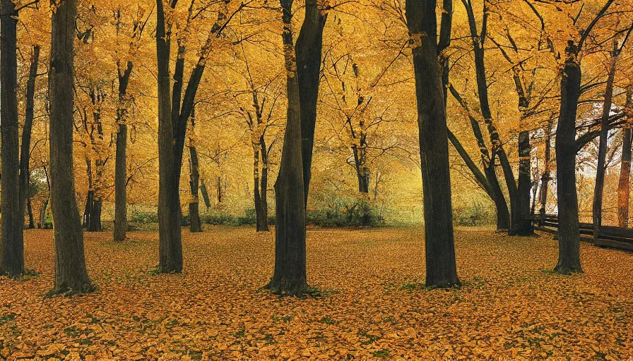 Prompt: maple trees, autumn, new jersey, northwest, farm, cinestill 8 0 0 t 3 5 mm 1 9 8 9, technicolor, heavy grain, high quality, high detail, warm light