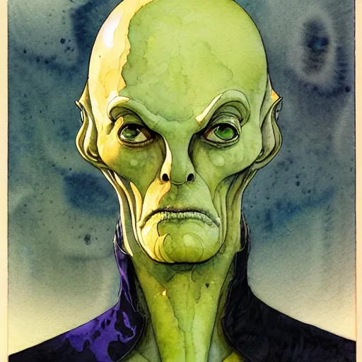 Image similar to a simple and atmospheric watercolour portrait of a pulp sci - fi alien, very muted colors, by rebecca guay, michael kaluta, charles vess and jean moebius giraud