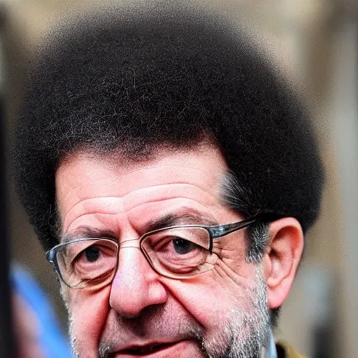 Image similar to jean - luc melenchon with afro hair