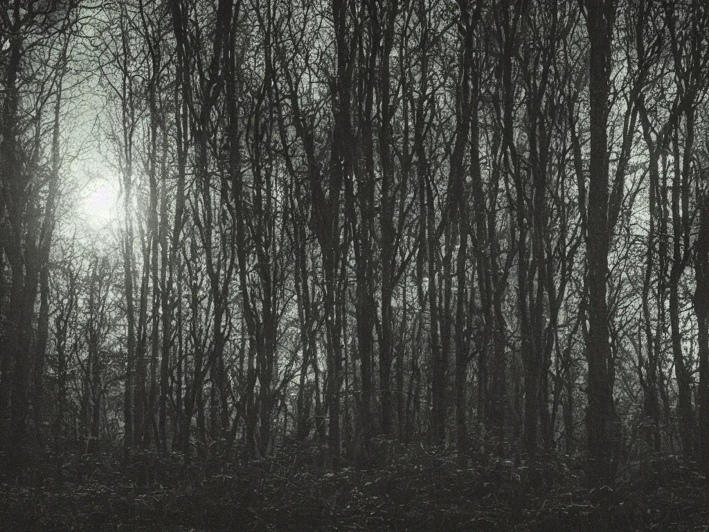 Prompt: amateur photograph of scp-106 in a dark forest at night, high detail, photorealistic