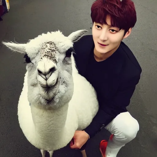 Image similar to jung kook with a llama, 8 k