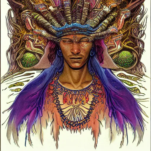 Image similar to fantasy art, highly detailed, beautiful, surreal, ayahuasca shaman, by moebius