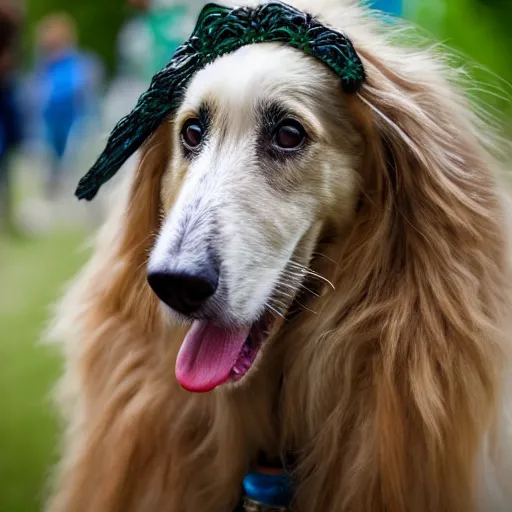 Image similar to A Borzoi Dog using a crown (EOS 5DS R, ISO100, f/8, 1/125, 84mm, postprocessed)