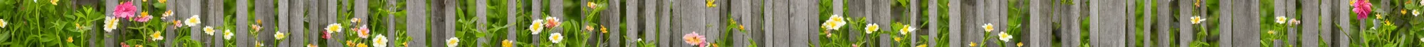 Image similar to wooden fencing with a few small flowers