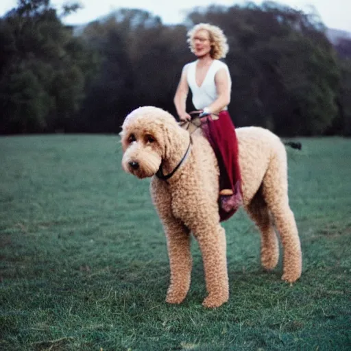 Prompt: cinestill of a blonde labradoodle riding a horse