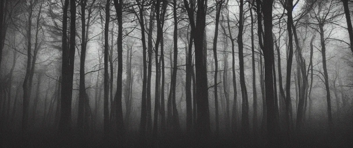 Image similar to a haunted forest under the milkway at night, film grain, large format photograph by stephen king, misty, moody