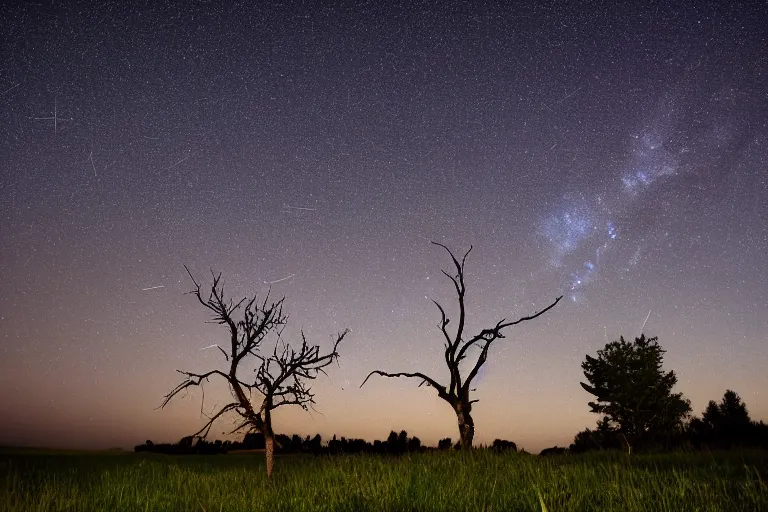 Image similar to a night sky photo during a heavy perseid meteor shower. a withered tree is in the foreground. a very detailed 4 k space photo. sence of awe, featured on flickr