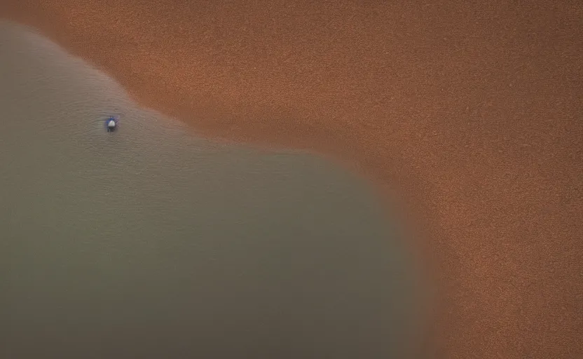 Prompt: cinematic still screenshot detailed photo of a moody lake with a rope floating in the center, shot by saul leiter, camera height 7 feet, moody cinematography, 2 4 mm anamorphic lens