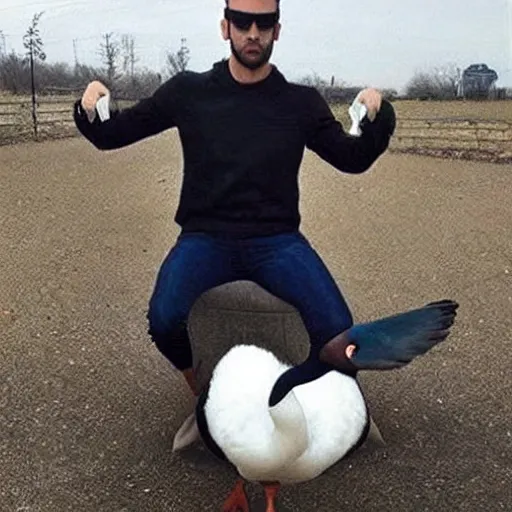 Image similar to gigachad goose. the goose she tells you not to worry about