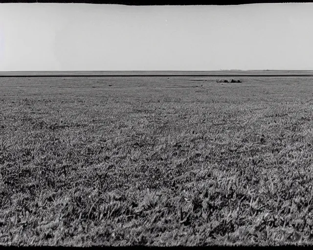 Prompt: At the end of the second day, the landscape changed abruptly. The land was flat, but there were no trees or bushes anywhere to be seen. It was as if nature itself had abandoned the area and left behind a vast wasteland. There was not even so much as a single blade of grass growing on the ground. On the distance, what appeared to be a wall blocked the way, but as I approached, I realized that it was not a stone structure, but a wall of oily, tentacled purple roots that rose up from the earth, forming a dome over a hundred feet in height, and which intersected across the road as if it were a natural formation. wide-angle lens effect, creeper, low-poly, cinematic. 16k render. Impressionist painting style. Matte painting, hyperrealistic, photorealism, detailed. HDR lighting. Widescreen format, HDR. Film grain. Wide screen format, HDR.