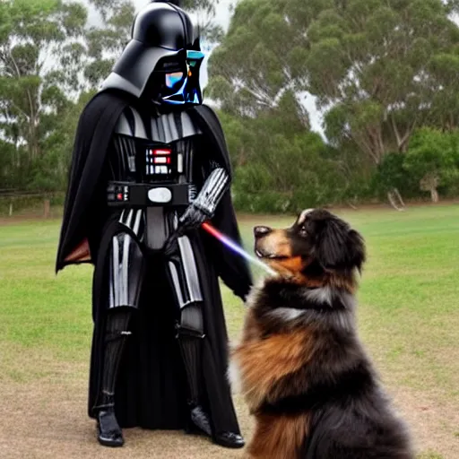 Image similar to australian shepherd fighting darth vader