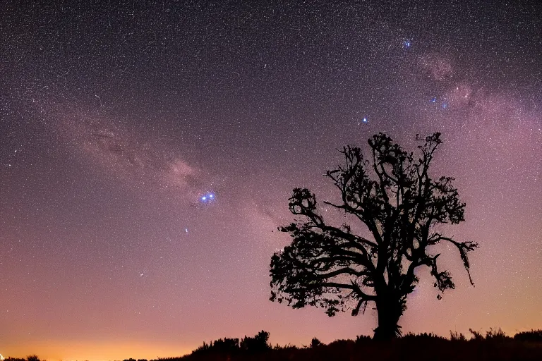 Image similar to a night sky photo during a heavy perseid meteor shower. a withered tree is in the foreground. a very detailed 4 k space photo. sence of awe, featured on flickr