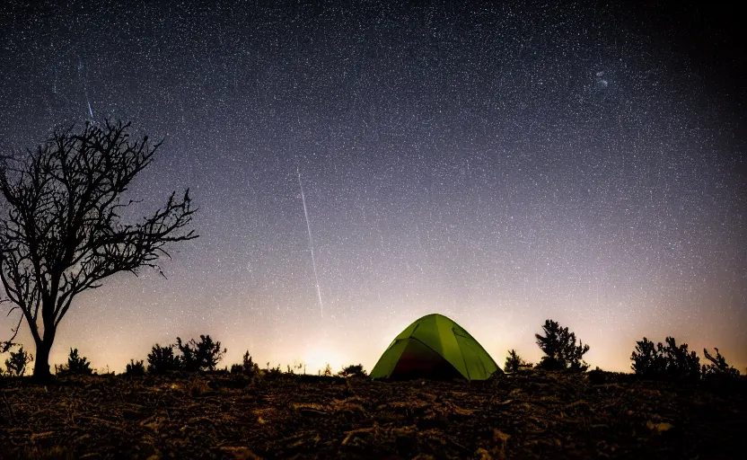 Prompt: photography of many stars at night with a tree in foreground and a tent, highly detailed, photorealistic